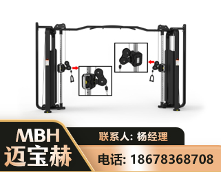 拉萨大飞鸟训练器