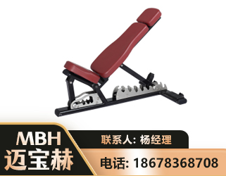 拉萨可调哑铃椅