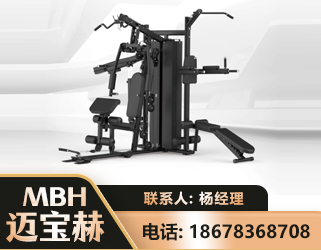 拉萨三人站训练器