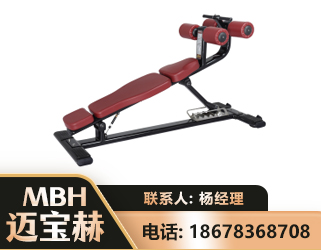 拉萨可调腹肌板