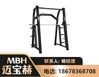 拉萨史密斯机
